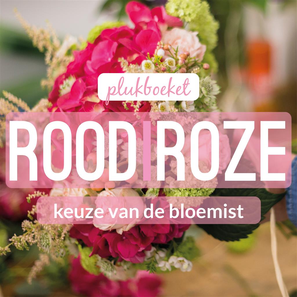 02_kvdb003__rabo__1.jpg