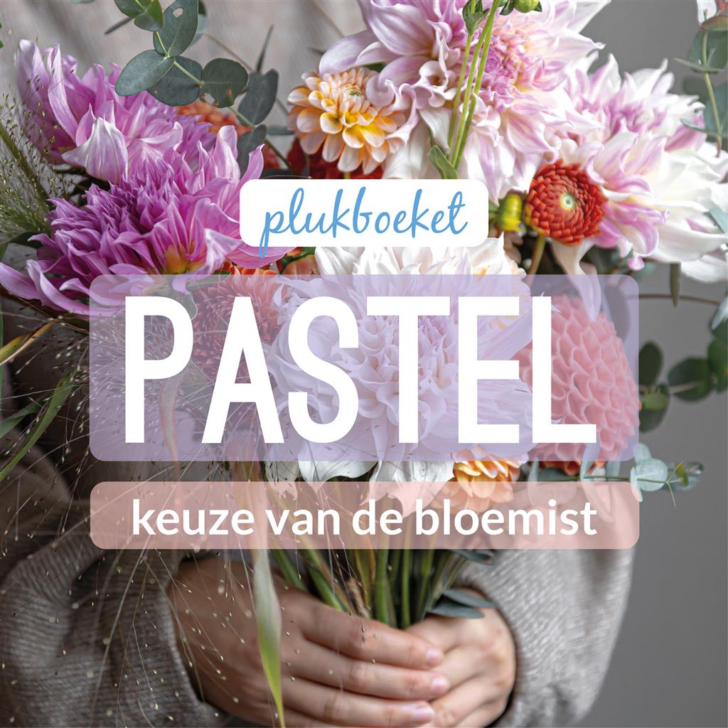 02_kvdb005__rabo__1.jpg