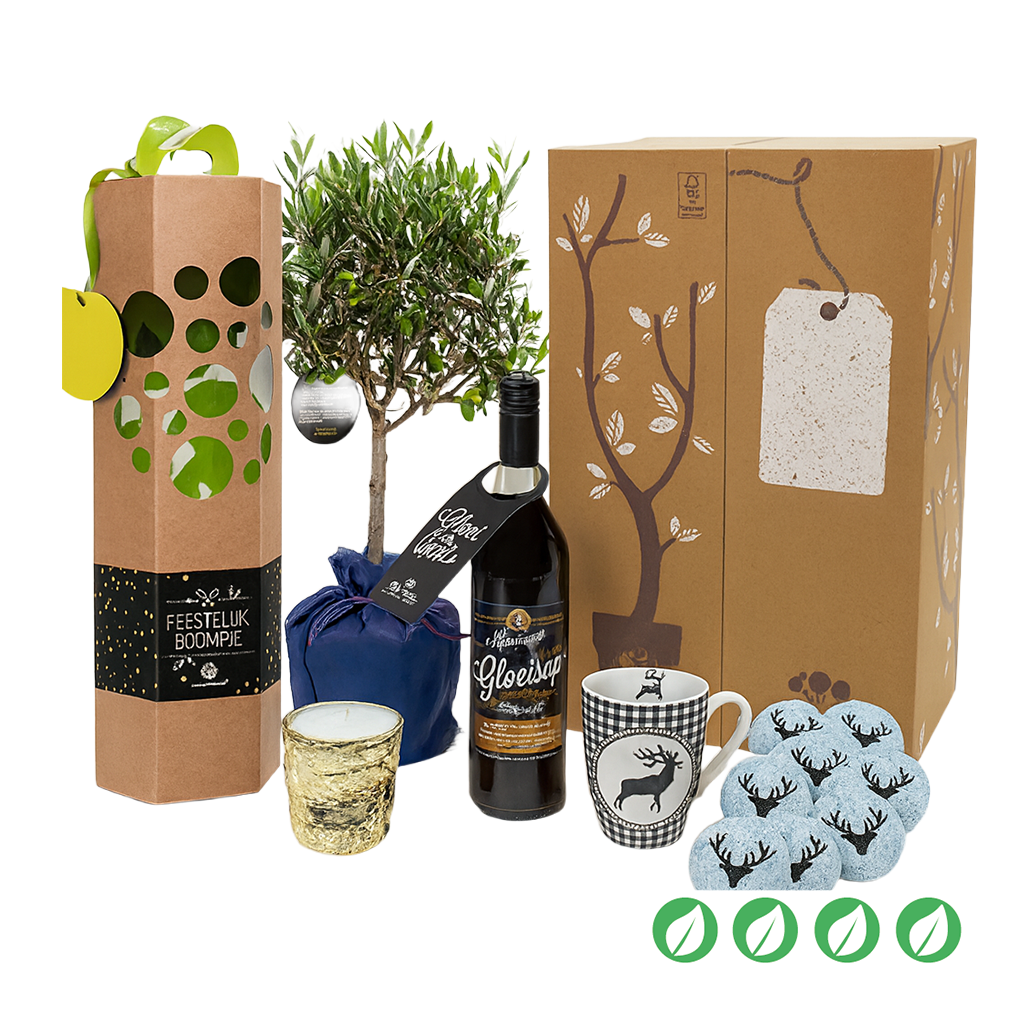 Feestelijk boompje pakket 0aa_geb_set9__1.png