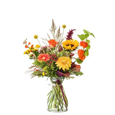 Herfsttint Plukboeket 000_fd030__1.jpg