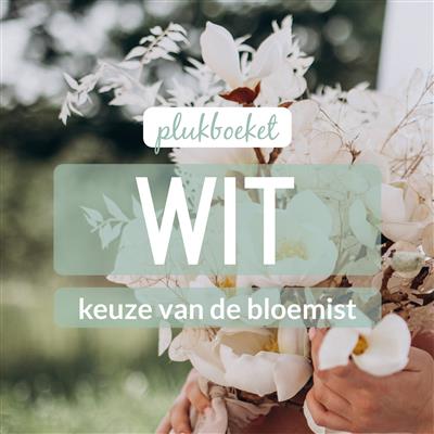 02_kvdb002__rabo__1.jpg