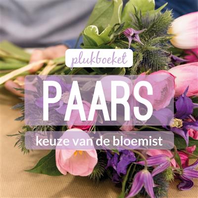 02_kvdb004__rabo__1.jpg