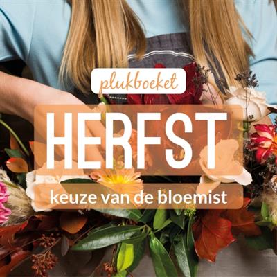 Plukboeket Herfst Keuze van de bloemist 02_kvdb008__1.jpg