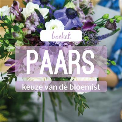 02_kvdb017__rabo__1.jpg