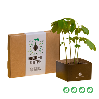 Kweek een boompje - Gingko Biloba 0aa_geb_set7__1.png