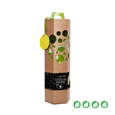 Feestelijk boompje feestelijk-boompje__1.png