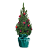 Oh Dennenboom kerstboom ohdennenboom-kerstboom__2.png